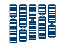 Illumina Whole Exome Icon