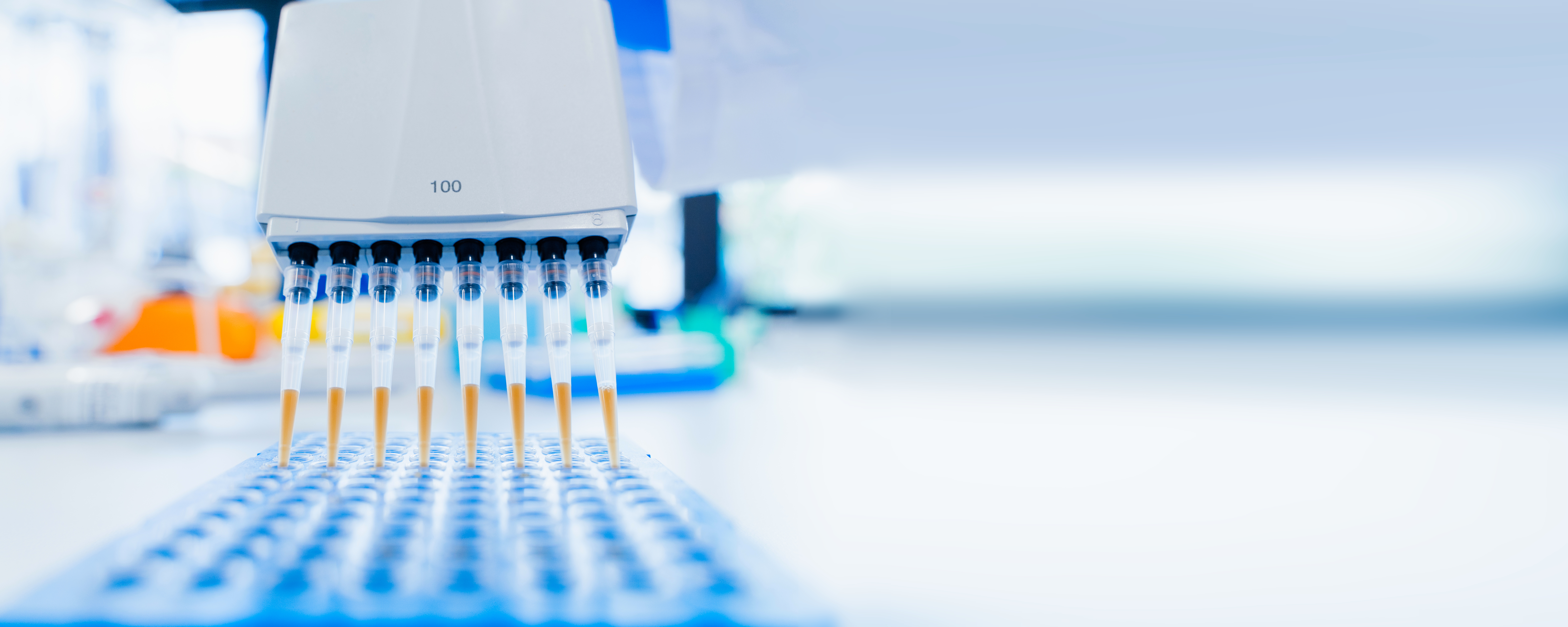 Multichannel laboratory pipette dispensing liquid samples into a microplate during a high-throughput proteomics workflow.